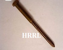 Round Phillips Head Self Tapping Screw in Badli